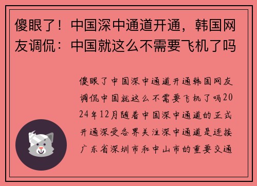 傻眼了！中国深中通道开通，韩国网友调侃：中国就这么不需要飞机了吗？