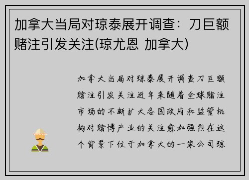 加拿大当局对琼泰展开调查：刀巨额赌注引发关注(琼尤恩 加拿大)