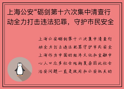 上海公安“砺剑第十六次集中清查行动全力打击违法犯罪，守护市民安全